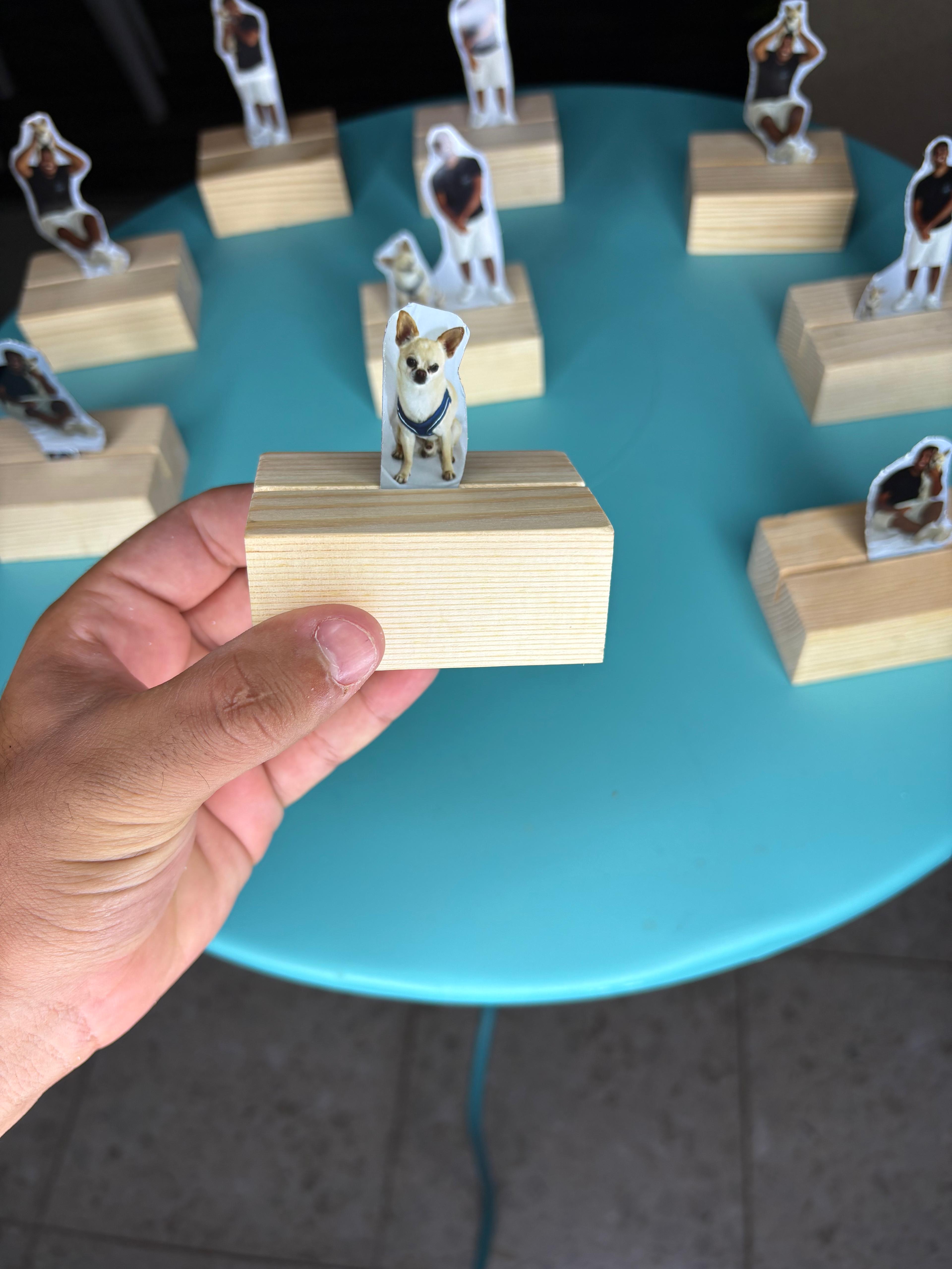 דוגמא למעמדי Mini Me